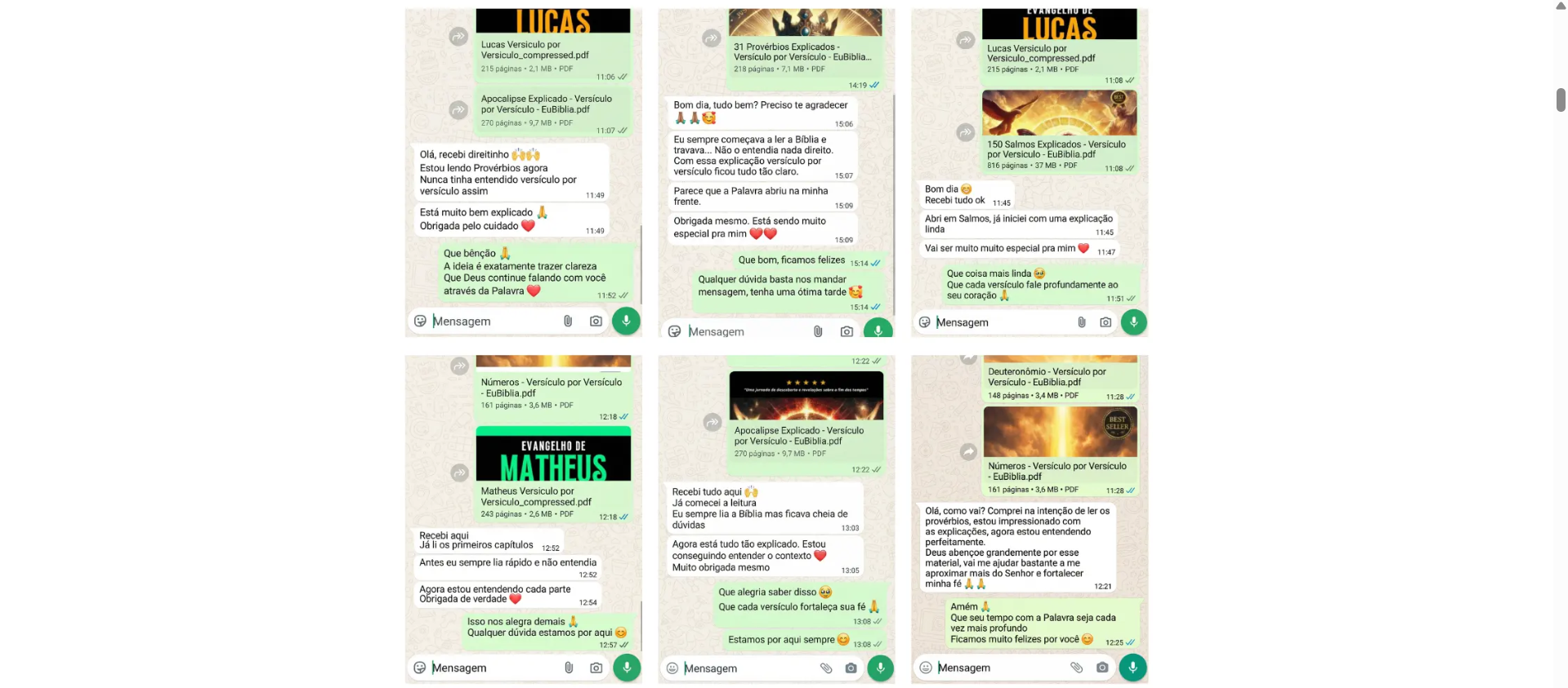 Prints de conversas de clientes satisfeitos